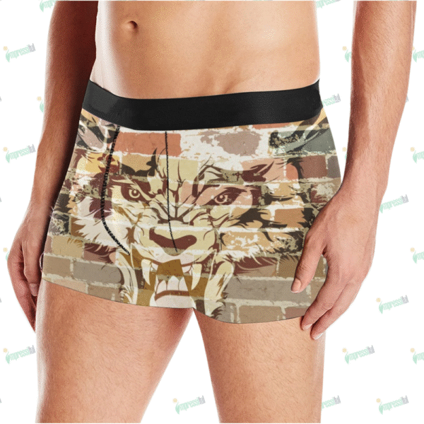 Men's All Over Print Boxer Briefs (Model L10)
