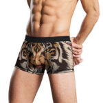 Men's Underwear - Image 3