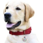 Round Pet ID Tag - Image 3
