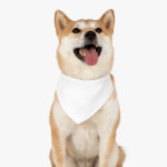 Trendy Accessory Dog Bandana - Image 4