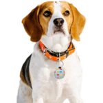 Round Pet ID Tag - Image 4