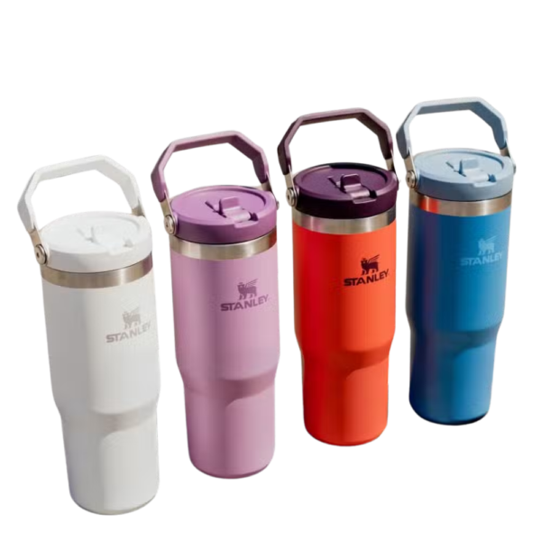 Keep Your Drink Stanley IceFlow Straw Tumbler