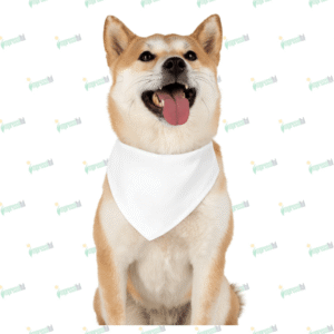 Trendy Accessory Dog Bandana