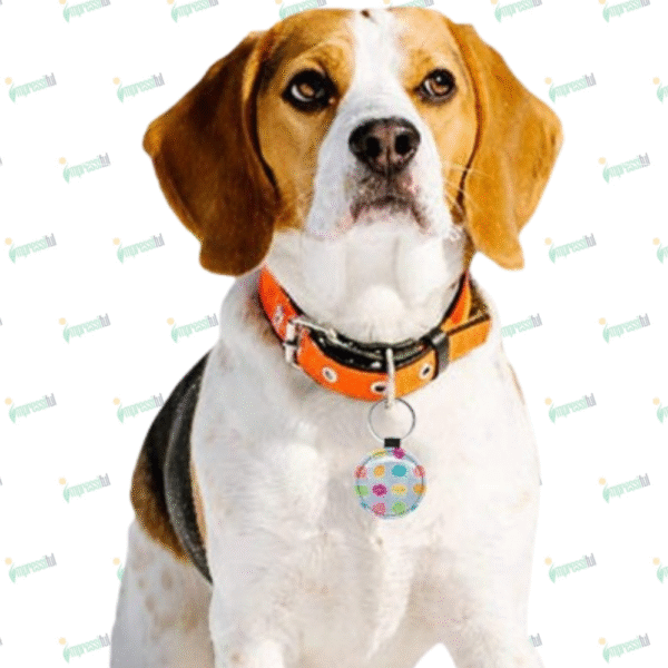 Round Pet ID Tag