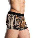 Men's Underwear - Image 2