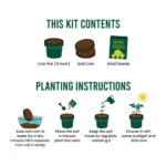 Ghaf Seed Plantable Kit - Image 3