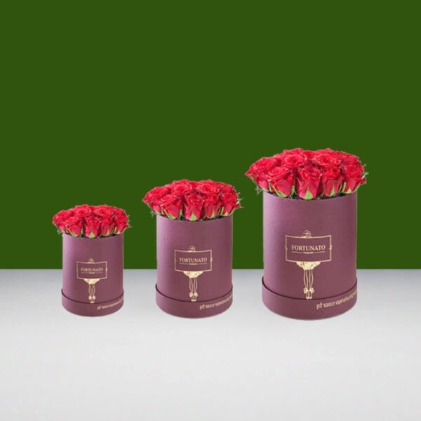 Round Gift Box