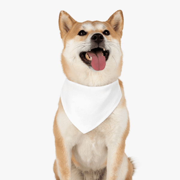 Trendy Accessory Dog Bandana