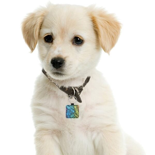 Personalized Square Pet ID Tag