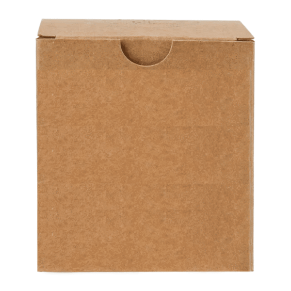 Sustainability Ghaf Seed Plantable Kit