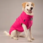 Dog T-Shirt – Custom Pet Apparel for Branding & Events | Impressiful - Image 4