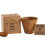 Ghaf Seed Planting Kit - Image 5