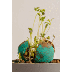 Customised Plantable Flower Seed Balls – Eco-Friendly Promotional Gift for a Greener Planet - Image 2