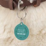 Pet Tag – Custom Engraved ID Tags for Dogs & Cats | Impressiful - Image 2