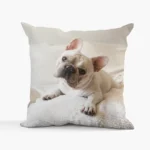 Pillow Cover – Soft, Customisable Decorative Cushion Cover for Home & Gifting | Impressiful - Image 2