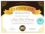 Recognition Certificates | Custom Awards & Achievement Certificates by Impressiful - Image 5