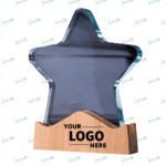 Milestone Star Wooden Trophy – Elegant Achievement Award | Impressiful