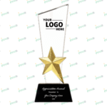 Crystal Trophy with Metal Star – Premium Achievement Award | Impressiful