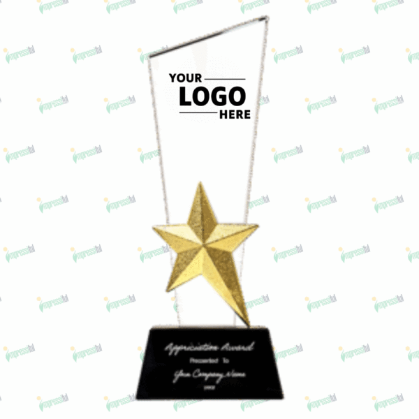 Crystal Trophy with Metal Star – Premium Achievement Award | Impressiful